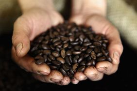 two hands holding a handful of Guatemalan Coffee Beans