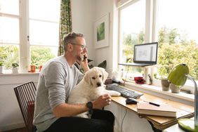 A man looks at his investments and talks on the phone while his dog sits in his lap