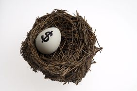 401(k) IRA nest egg with dollar sign