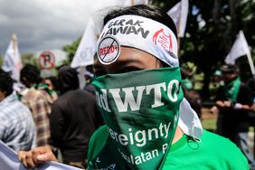 WTO protester