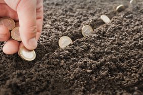 planting money in the ground